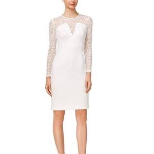 Calvin Klein Illusion Scuba Sheath dress